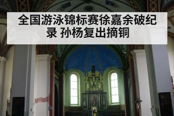 全国游泳锦标赛徐嘉余破纪录 孙杨复出摘铜