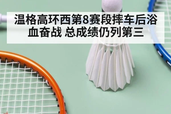 温格高环西第8赛段摔车后浴血奋战 总成绩仍列第三