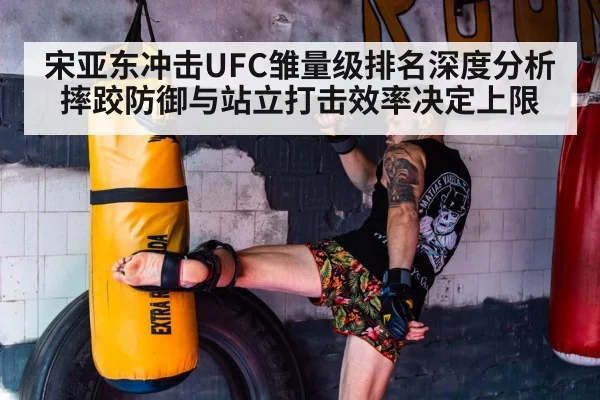 宋亚东冲击UFC雏量级排名深度分析 摔跤防御与站立打击效率决定上限